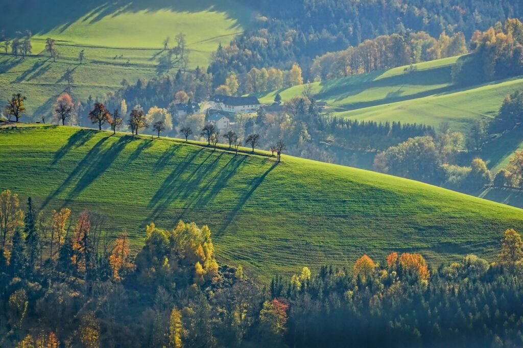 Good thing, bad thing, who knows? landscape, fall, green, feeling stuck in life, law of polarity