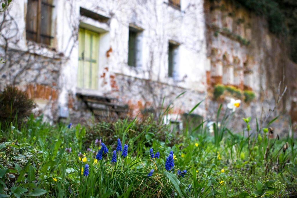 Rustic cottage with lush spring garden and vibrant flowers, creating a picturesque scene. Rustic cottage with lush spring garden and vibrant flowers, creating a picturesque scene.