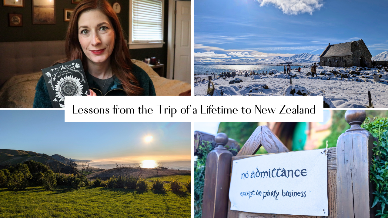 thumbnail from what I learned from 2 weeks in new zealand youtube video